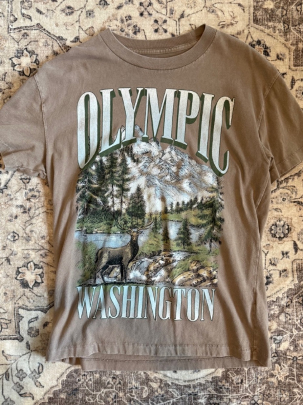 Abercrombie and Fitch- Soft Relaxed AF essential Olympic Washington (Unisex)- M - Picture 2 of 3
